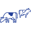 Animal Nutrition